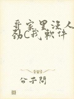 哥家里没人使点劲C我软件