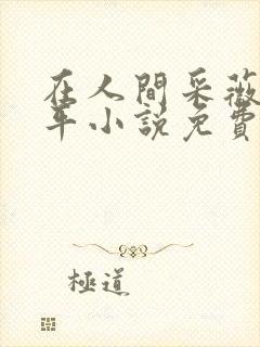 在人间采薇陆三平小说免费阅读封面