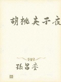 胡桃夹子夜未眠