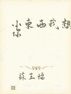 小东西我想弄坏你