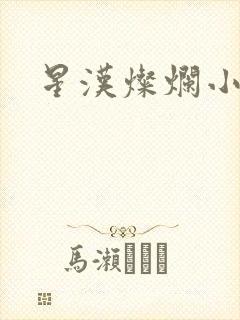 星汉灿烂小说封面