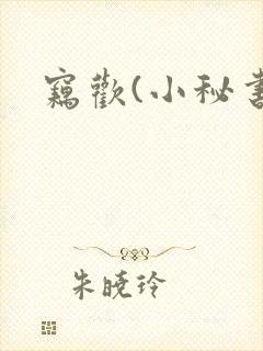 窃欢(小秘书)