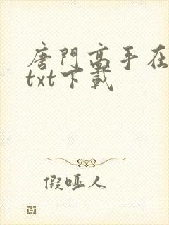 唐门高手在异世txt下载