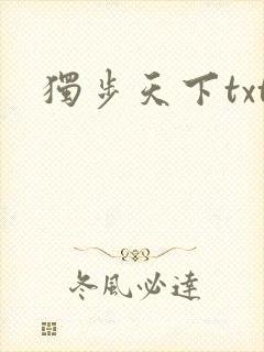 独步天下txt