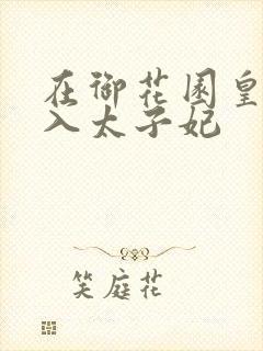 在御花园皇上进入太子妃封面