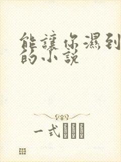 能让你湿到不行的小说