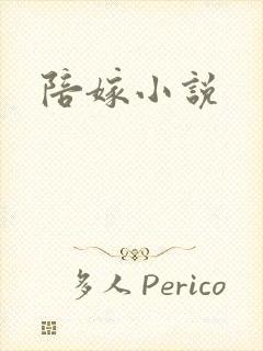 陪嫁小说