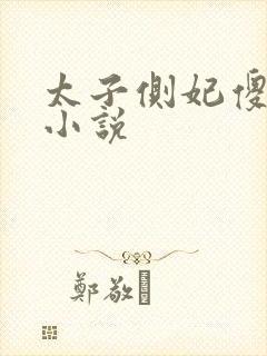 太子侧妃傻乎乎小说