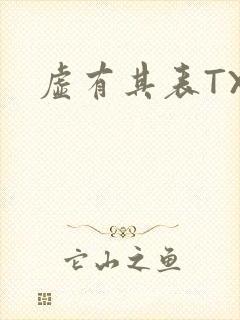 虚有其表TXT封面