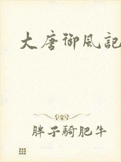 大唐御风记