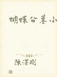 蝴蝶公墓小说