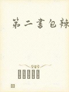 第二书包辣文