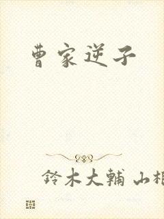 曹家逆子