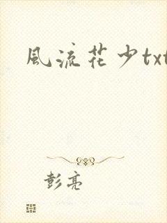 风流花少txt封面