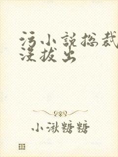 污小说总裁整夜没拔出