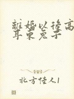 离婚以后高干 耳东兔子