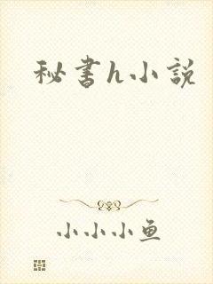秘书h小说