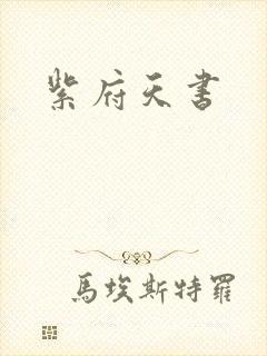 紫府天书
