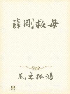 薛刚救母封面