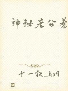 神秘老公惹不起