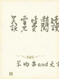吴雪晴赵晓东小说免费阅读
