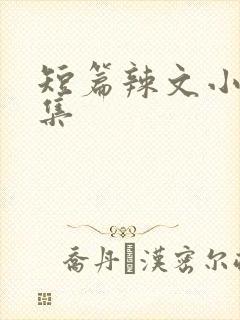 短篇辣文小说合集封面