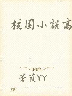 校园小说高h封面