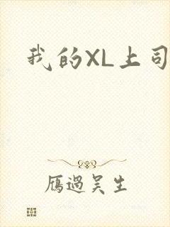 我的XL上司
