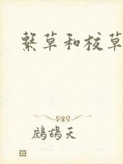 系草和校草