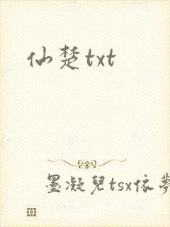 仙楚txt封面