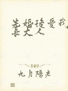 先婚后爱我的市长大人