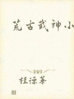 荒古武神小说