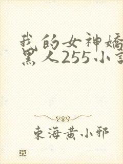 我的女神娇妻与黑人255小说