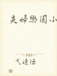 夫妇乐园小说