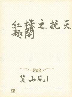 红楼之挽天倾笔趣阁封面