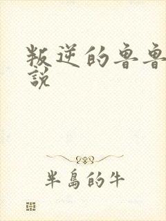 叛逆的鲁鲁修小说