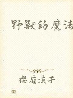 野兽的魔法师