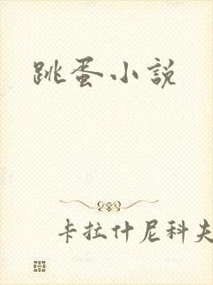 跳蛋小说封面