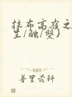 抹布高岭之花(生/触/双)封面