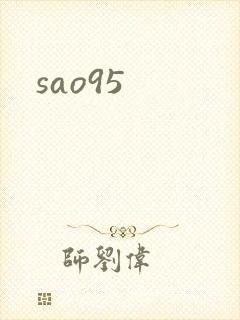 sao95封面