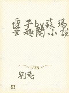 傻子by苏玛丽笔趣阁小说封面