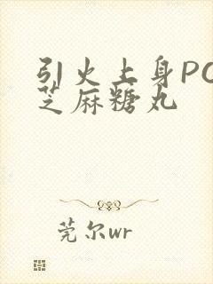 引火上身POP芝麻糖丸封面