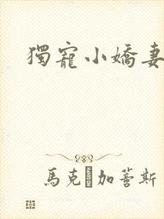独宠小娇妻