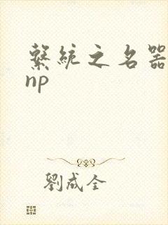 系统之名器攻略np