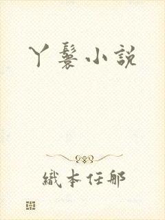 丫鬟小说