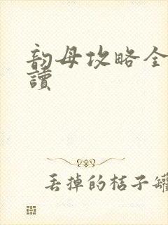 韵母攻略全文阅读