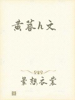黄蓉h文封面