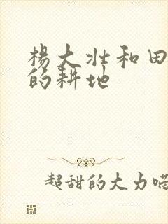 杨大壮和田桂花的耕地