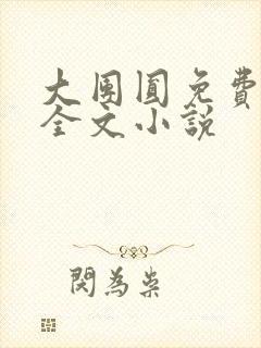 大团圆免费阅读全文小说封面