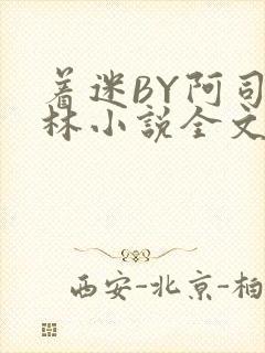 着迷BY阿司匹林小说全文免费阅读
